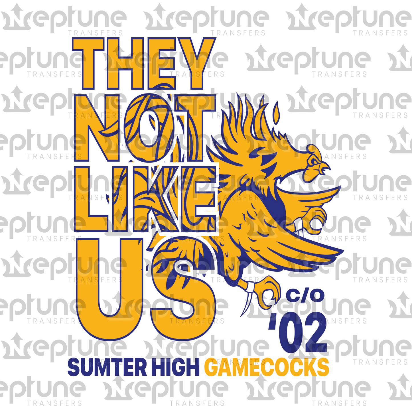 Sumter High School They Not Like Us Transfer