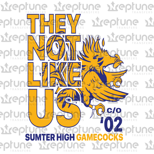 Sumter High School They Not Like Us Transfer