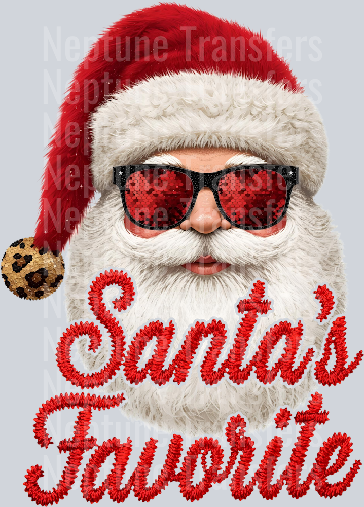 SANTAS FAVORITE