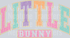 Little Bunny Retro