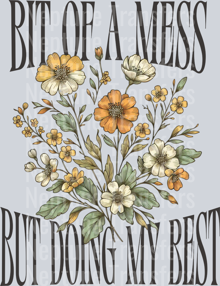 BIT OF A MESS BUT DOING MY BEST