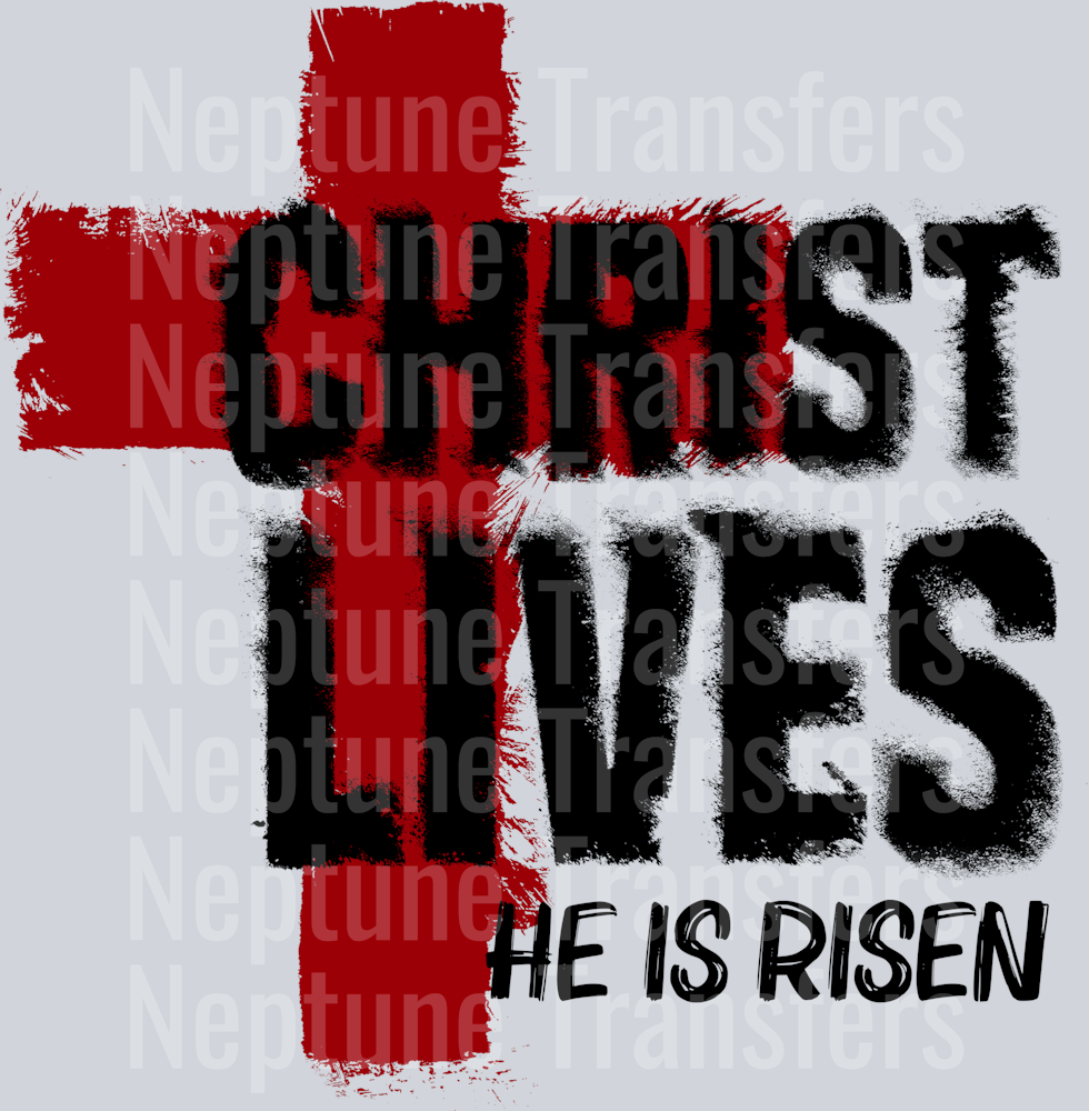 Christ Live copiar