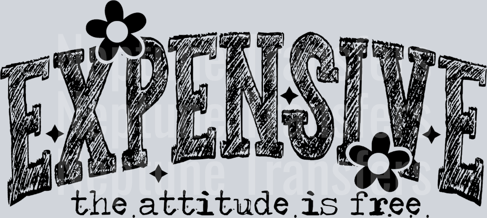 EXPENSIVE THE ATTITUDE IS FREE