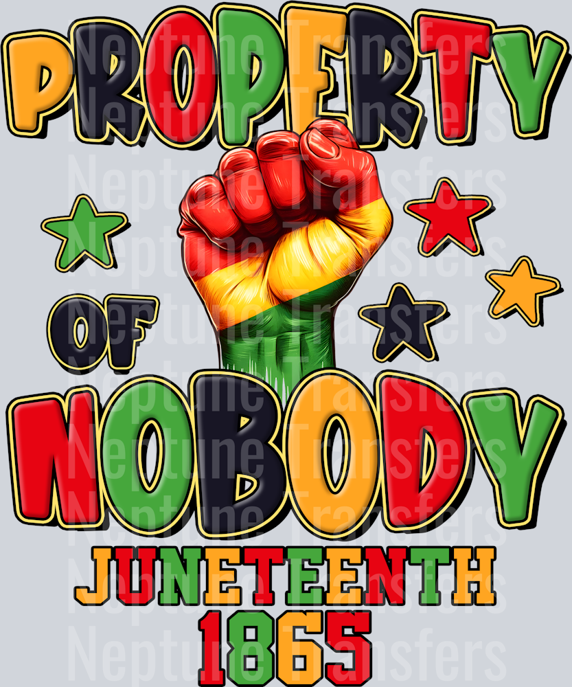 Property of Nobody