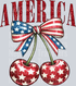 America Cherry Tie